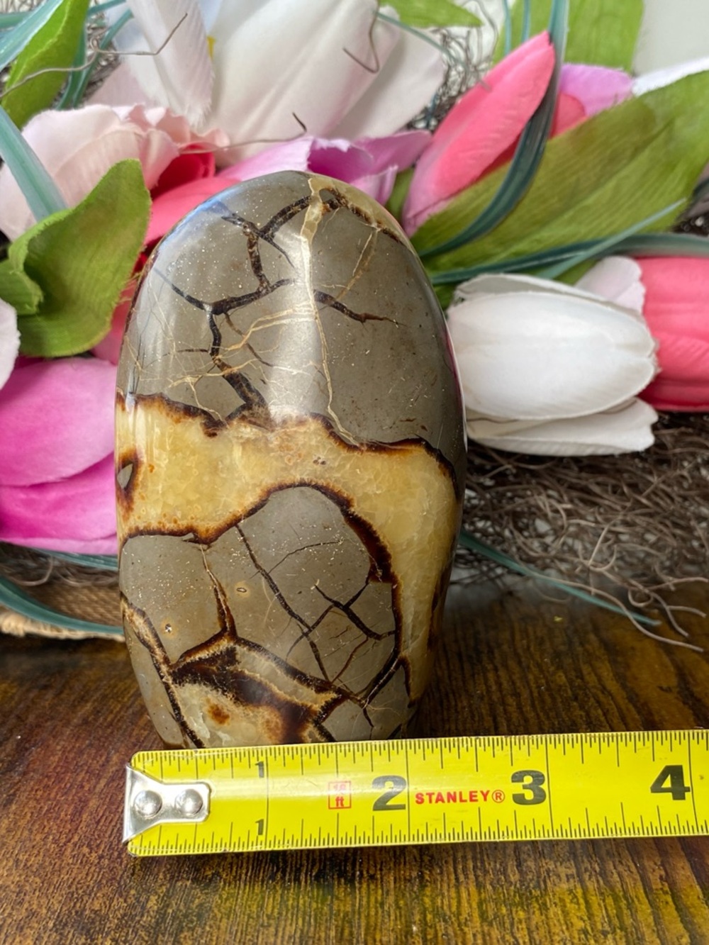 Septarian Freeform - Picture 11 of 12
